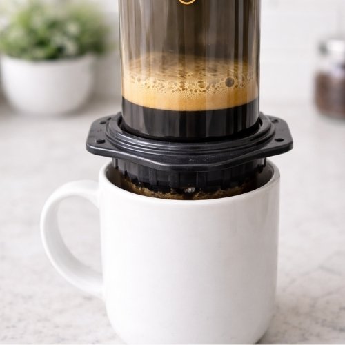 inverted AeroPress recipe