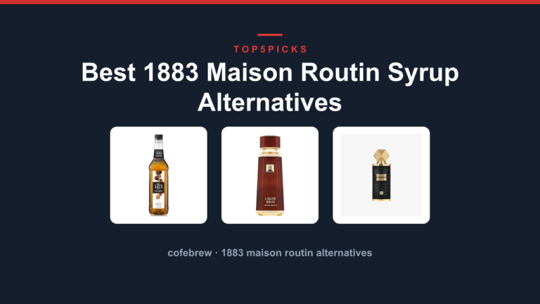 Best 1883 Maison Routin Syrup Alternatives