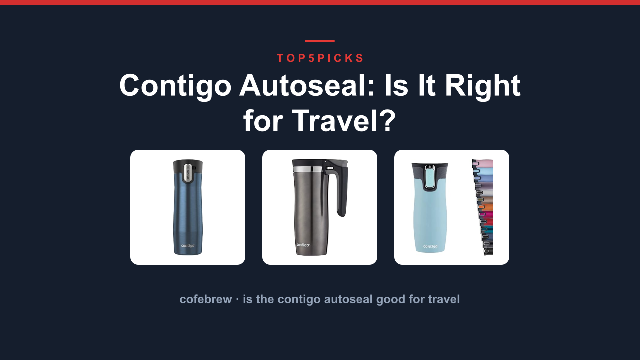 Contigo Autoseal: Is It Right for Travel?